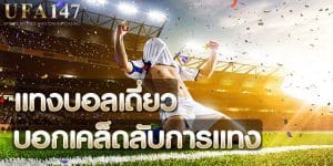 แทงบอลเดี่ยว